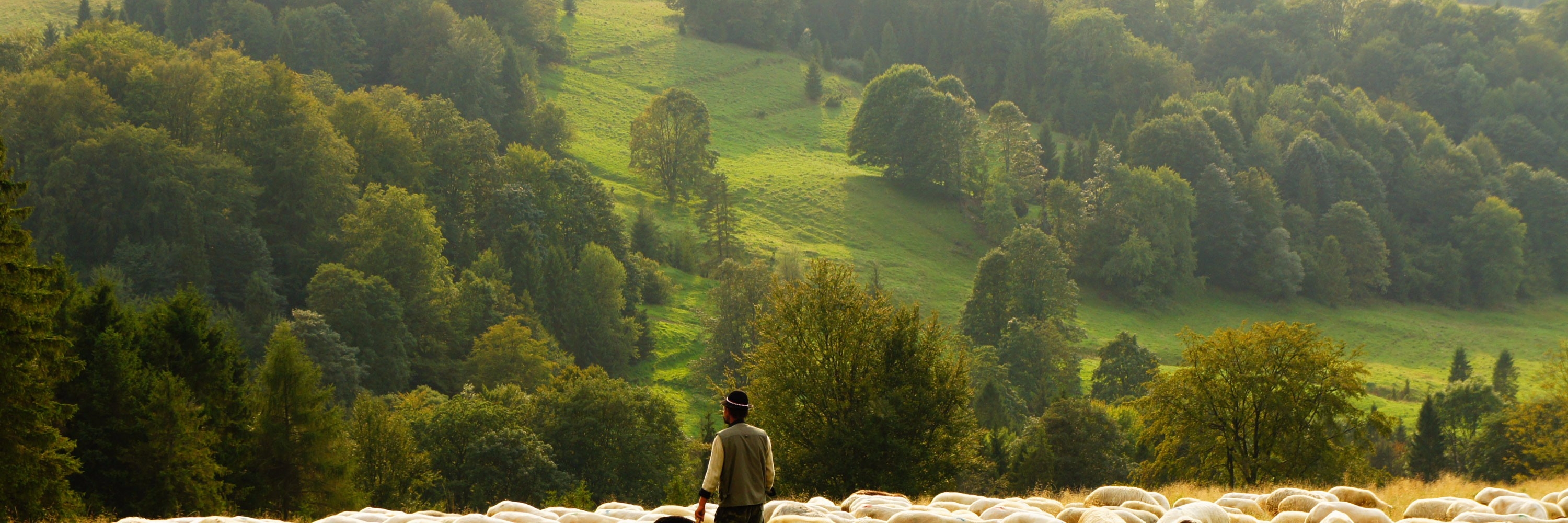 green-field